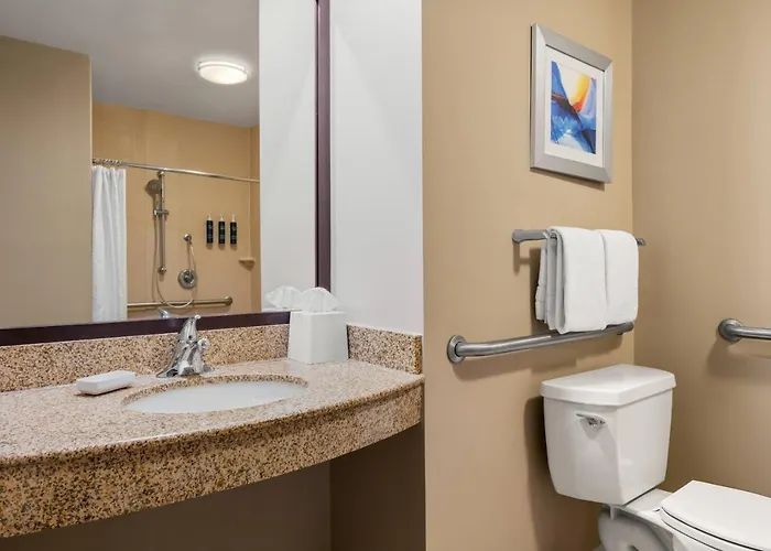 Отель Four Points By Sheraton Chicago Westchester/oak Brook Westchester