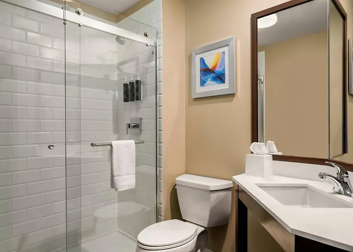Four Points By Sheraton Chicago Westchester/oak Brook 3* Westchester